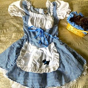 Dorothy Costume - Women’s Small.  Comes with a Toto Basket.  Wizard of Oz